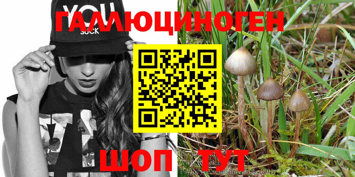 Галлюциногенные грибы MAGIC MUSHROOMS Лысьва