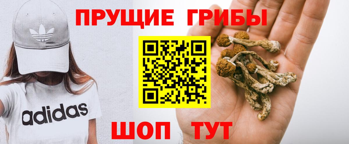 Лысьва  Псилоцибиновые грибы Psilocybine cubensis  Вход с VPN  Псилоцибиновые грибы MAGIC MUSHROOMS 